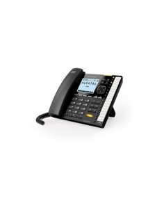 Temporis IP701G 2