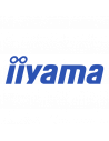 iiyama